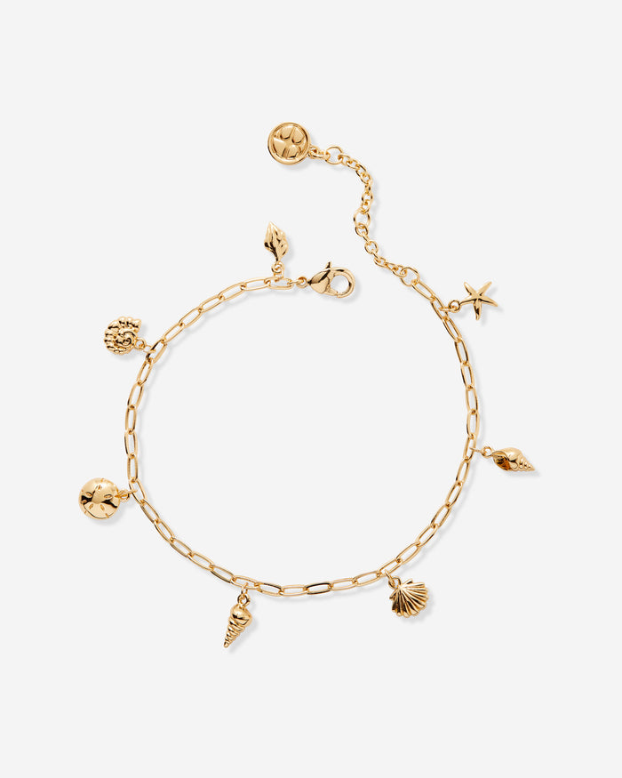 Sea Seeker Charm Bracelet Shell Shell Starfish Sand Dollar Charms in Gold Close Up Product Photography