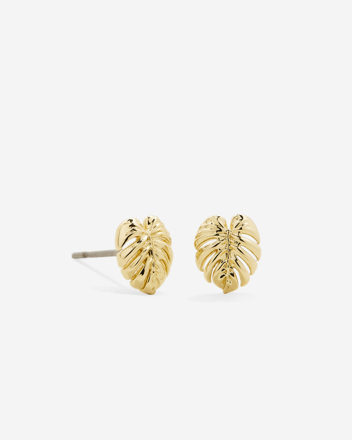 Breathe Palm Leaf Stud Earrings in Gold
