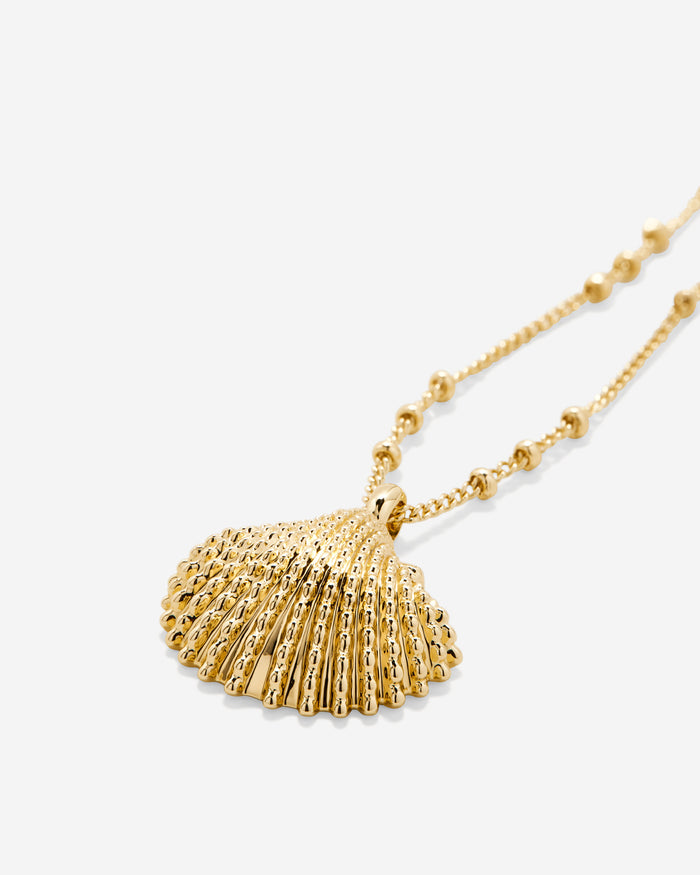Be Your Own Kind Of Beautiful Seashell Necklace In Gold Product Photography