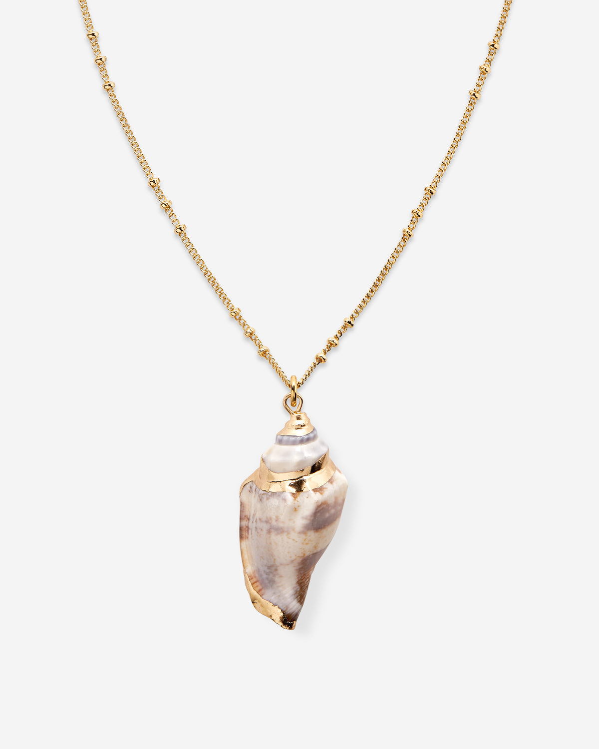 Sea Seeker Shell Necklace | Bryan Anthonys