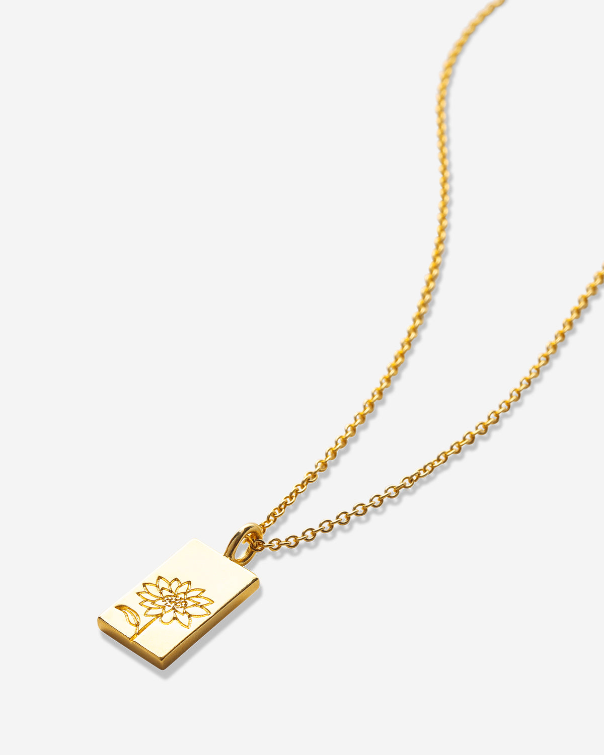 Bryan Anthonys Chasing Light Gold Necklace Macro Shot